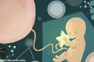 赵主任